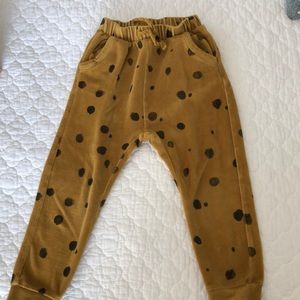 Zara baby velour polka dot pant
